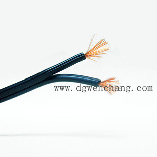 SPT-2W  Electrical Cable with PVC Insulated Material, Suitable for Outdoor Used